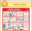            (PM-03-GOLD)